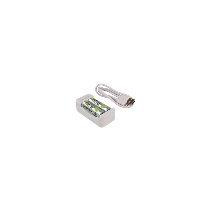 ANSMANN Chargeur de piles Basic II, 2x piles AA 1.300 mAh