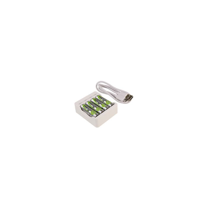 ANSMANN Chargeur de piles Basic IV, 4x piles AA 1.300 mAh