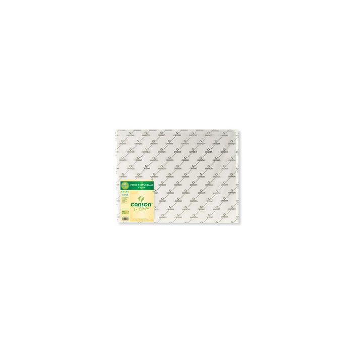 CANSON Papier dessin "C" à Grain, 180 g/m2, 500 x 650 mm x25