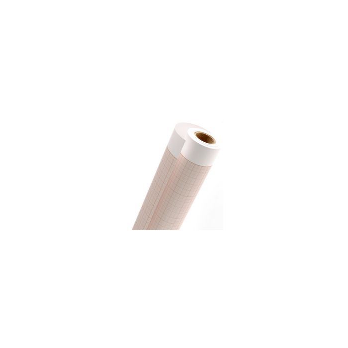 CANSON Papier millimétré en rouleau, 750 mm x 10 m, 90 g/m2