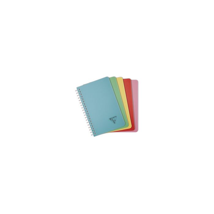 Clairefontaine Carnet reliure intégrale LINICOLOR, 110x170mm x10