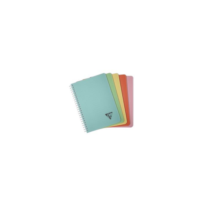 Clairefontaine Carnet reliure intégrale LINICOLOR, A5 x5