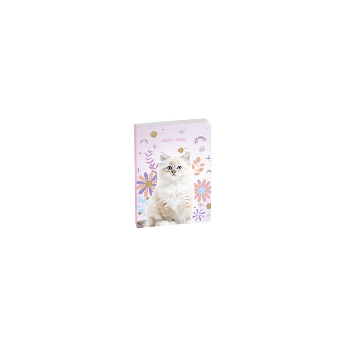 EXACOMPTA Agenda scolaire FORUM Lovely, 2026/2027 x12