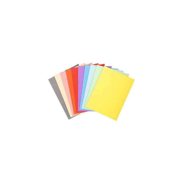 EXACOMPTA Chemises FOREVER 250, A4, gris
