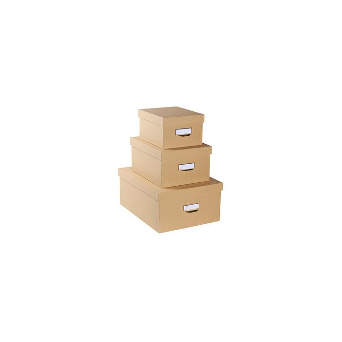 EXACOMPTA Lot de 3 boîtes gigogne Office by Me, beige