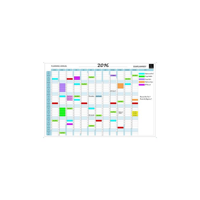 EXACOMPTA Planning annuel Exaplanner, (L)900 x (H)590 mm