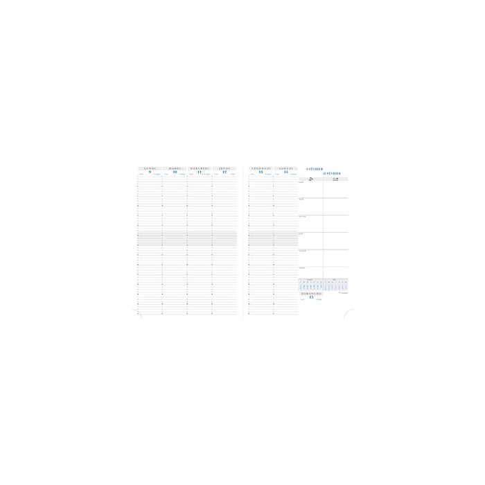 EXACOMPTA Recharge pour agenda "Consultations 29", 2027