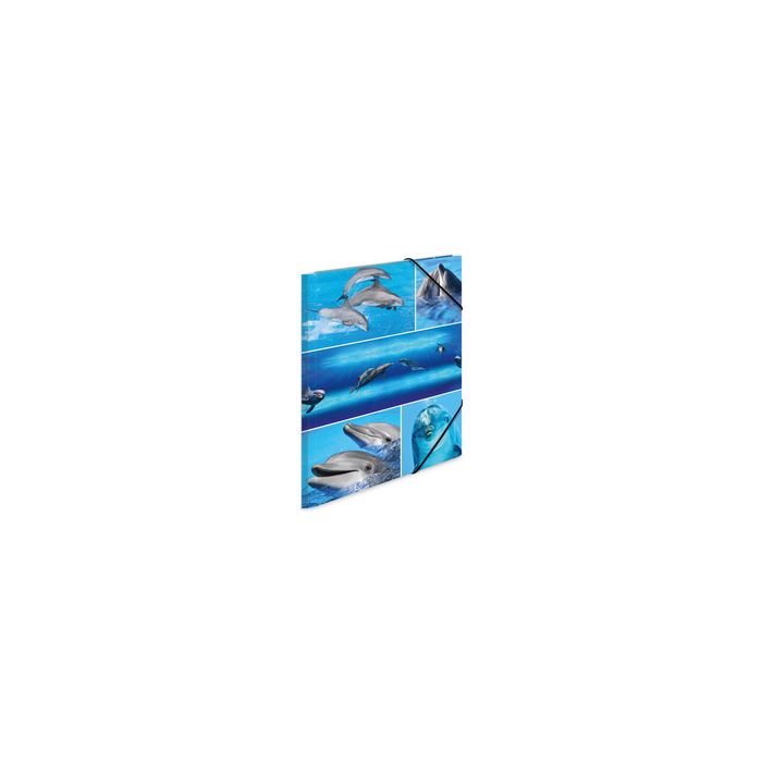 HERMA Chemise à élastiques "delphine", en carton,