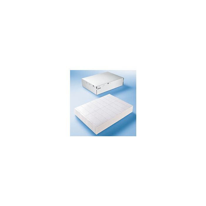 HERMA Etiquette universelle DATAPRINT, 203 x 297 mm, blanc