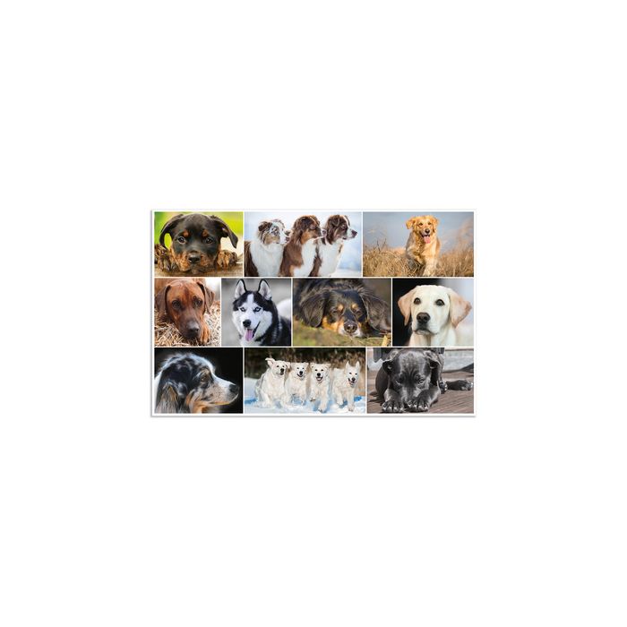 HERMA Sous-main "Chiens", (L)550 x (H)350 mm