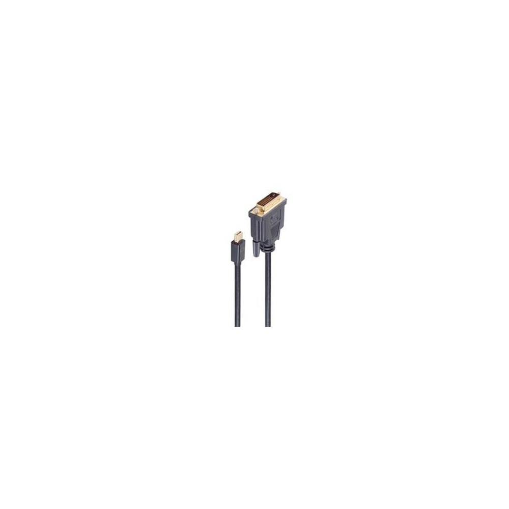 shiverpeaks Câble BASIC-S Mini DisplayPort - DVI-D 24+1