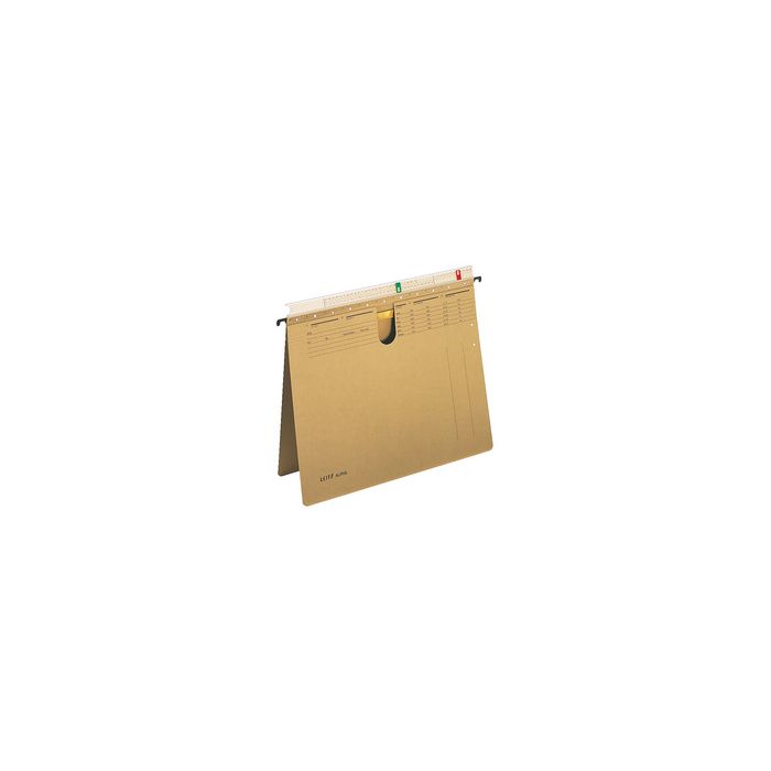 LEITZ ALPHA Hängehefter, A4, mit Organisationsleiste, natron x25