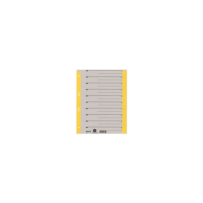 LEITZ Intercalaires, format A4 extra large, en carton solide
