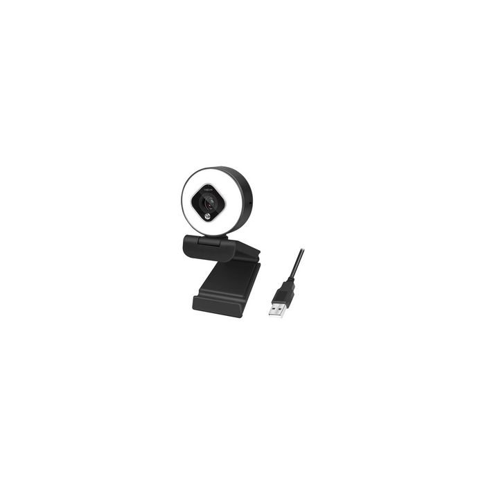 LogiLink Webcam USB Full HD à deux micros, noir