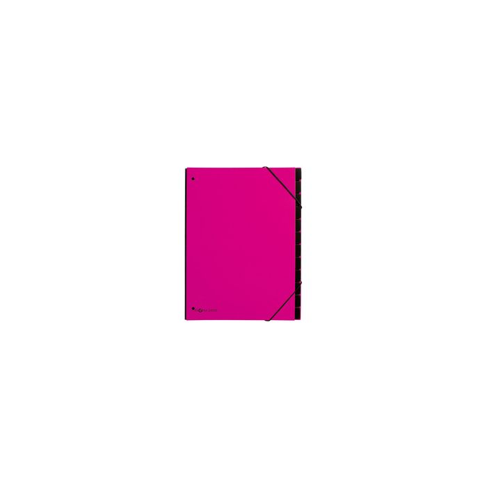 PAGNA Trieur Trend, A4, 12 compartiments, rose foncé