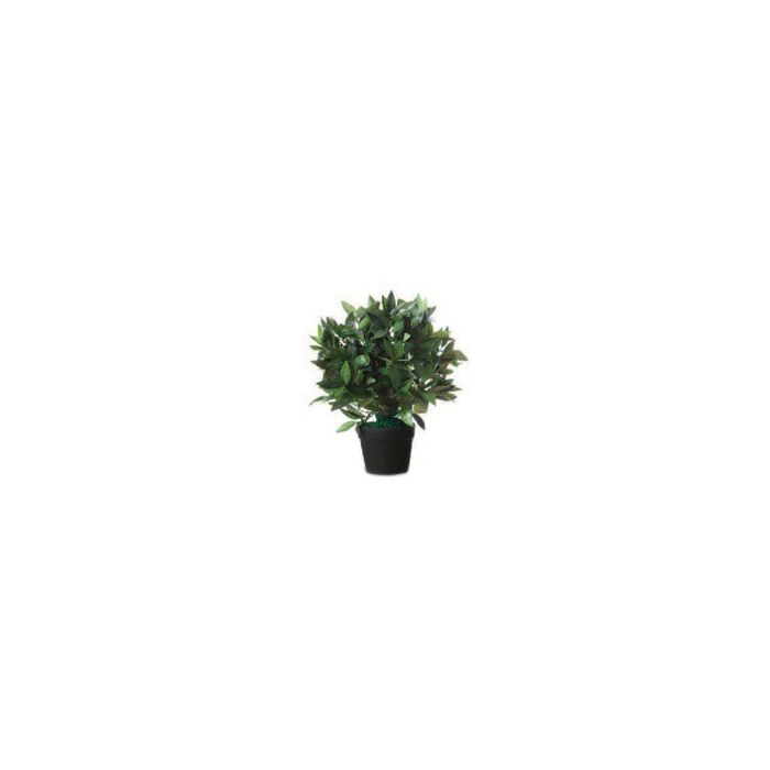 PAPERFLOW Plante artificielle "Laurier", hauteur : 500 mm