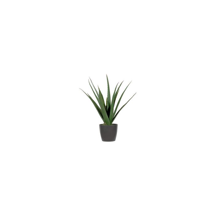 PAPERFLOW Plante artificielle "aloe vera", hauteur: 450 mm