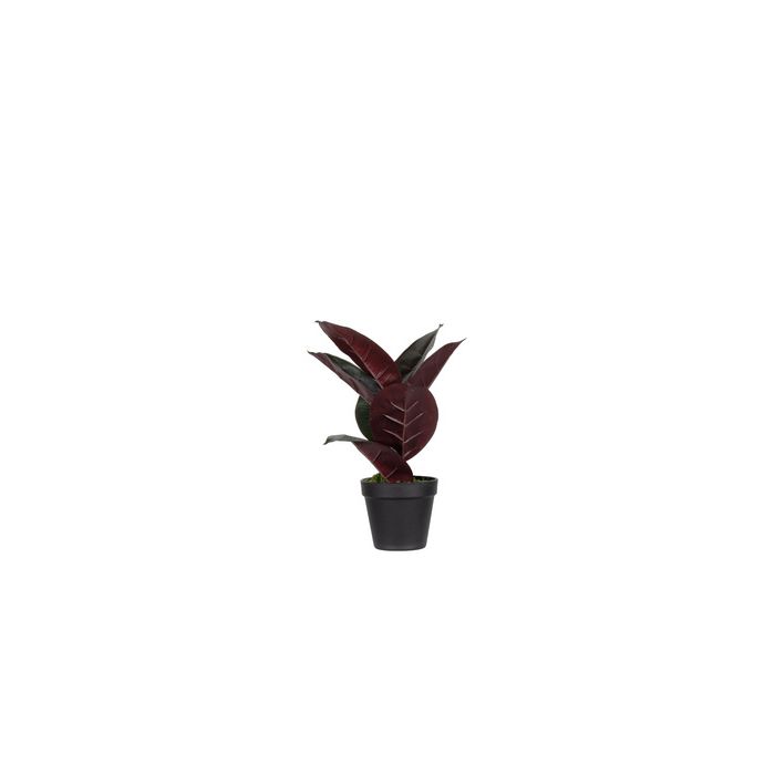 PAPERFLOW Plante artificielle "caoutchouc", hauteur: 360 mm