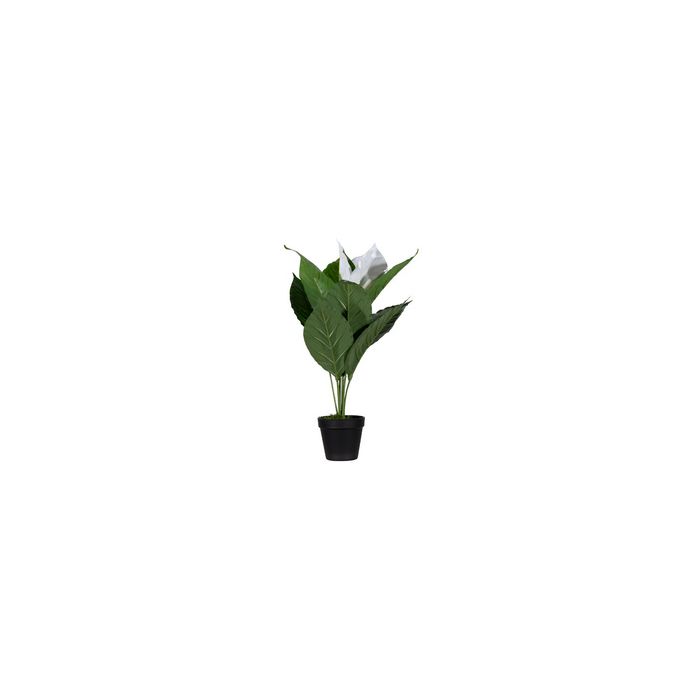 PAPERFLOW Plante artificielle "fleur de lune", (H)550 mm