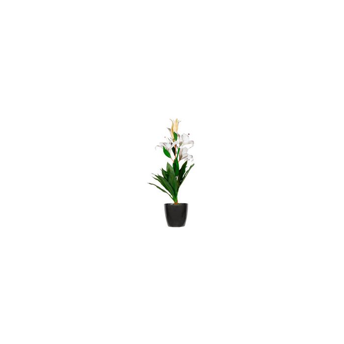 PAPERFLOW Plante artificielle "fleurs de lys", (H)650 mm