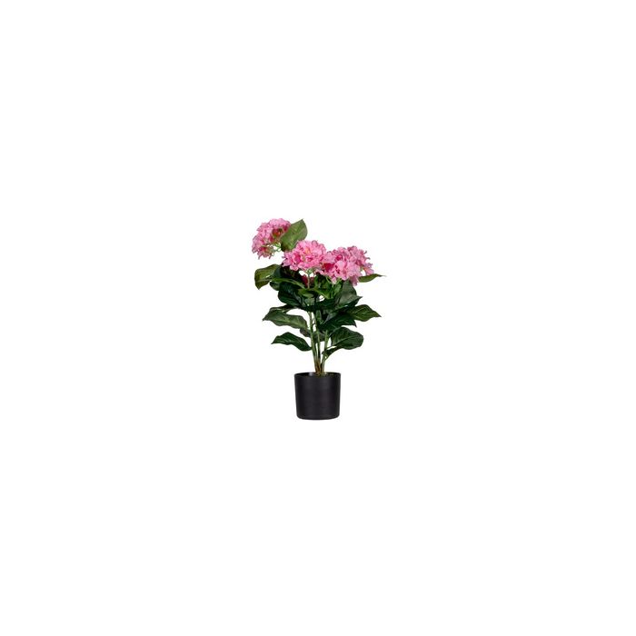 PAPERFLOW Plante artificielle "hortensia", (H)550 mm, rose
