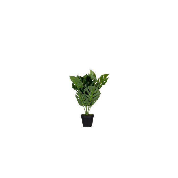 PAPERFLOW Plante artificielle "monstera", hauteur: 450 mm