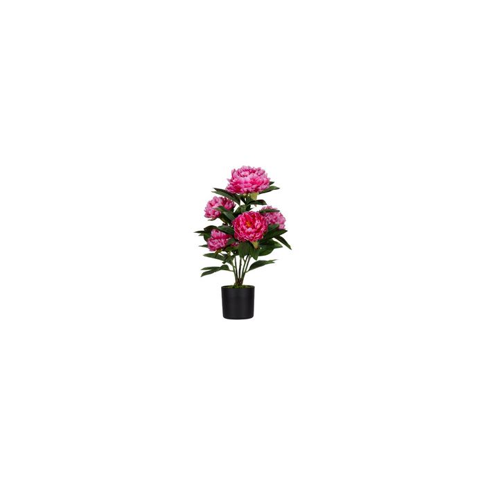 PAPERFLOW Plante artificielle "pivoine", (H)550 mm, rose