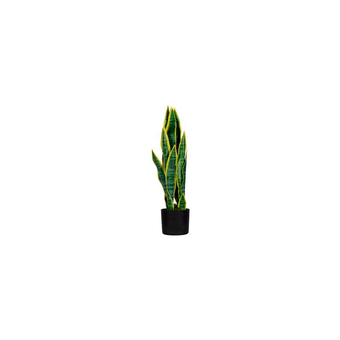 PAPERFLOW Plante artificielle "sanseviera", hauteur: 650 mm