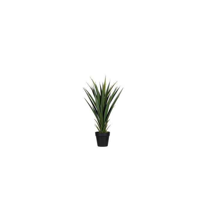PAPERFLOW Plante artificielle "yucca", hauteur: 600 mm