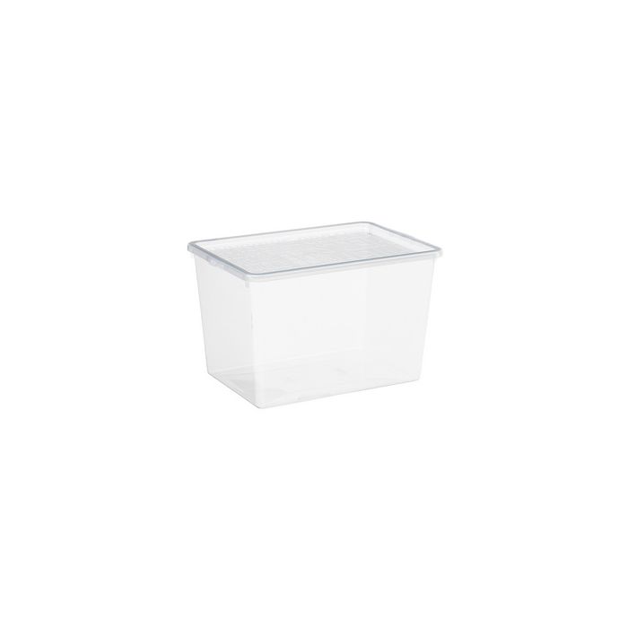 Plast team Boîte à chaussures BASIC BOX, High Heels
