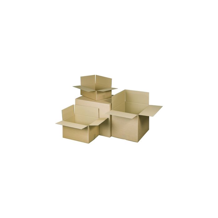 RAADHUIS Carton ondulé à plier, (L)586 x (P)386 x (H)386 mm