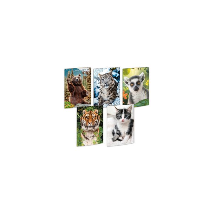 RNK Verlag Carton à dessin "Animaux", A3 - assortiment