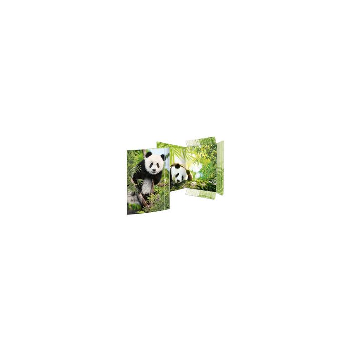 RNK Verlag Carton à dessin "Panda", A3