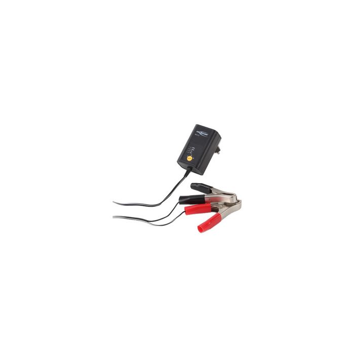 ANSMANN Chargeur pour batterie de voiture, 2 / 6 et 12 Volt