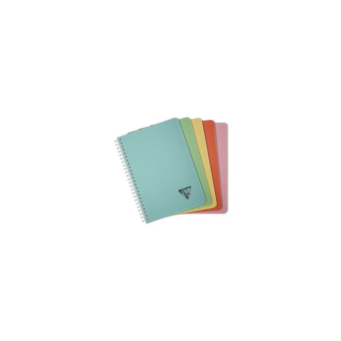 Clairefontaine Carnet reliure intégrale LINICOLOR, A5 x5