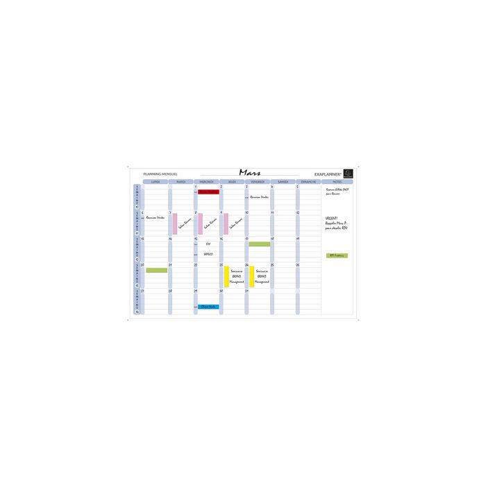 EXACOMPTA Planning magnétique mensuel Exaplanner