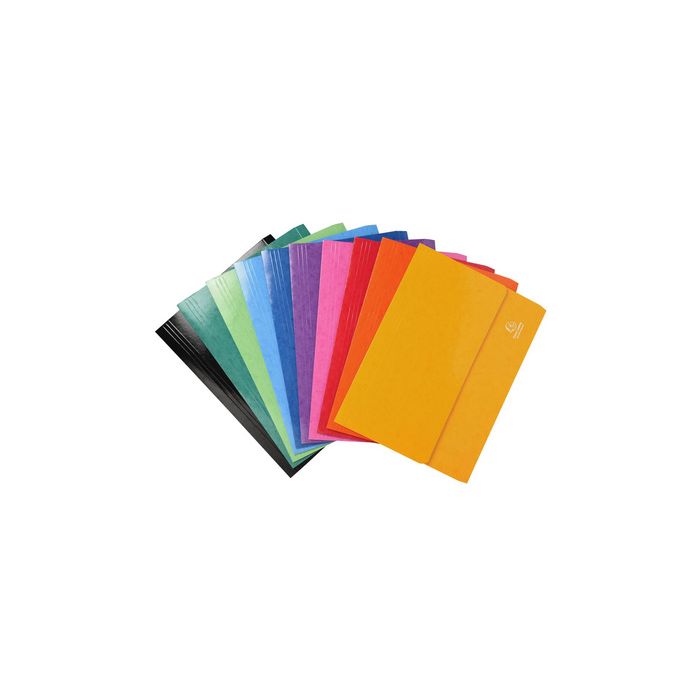 EXACOMPTA Pochette document à soufflet Iderama, A4, assorti