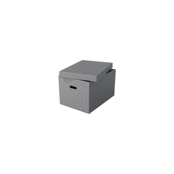 Esselte Boîte de rangement Home L, set de 3, gris