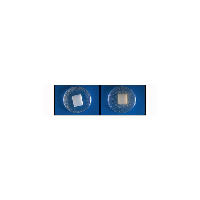Fellowes Repose-pieds Office Suites Microban, réglable