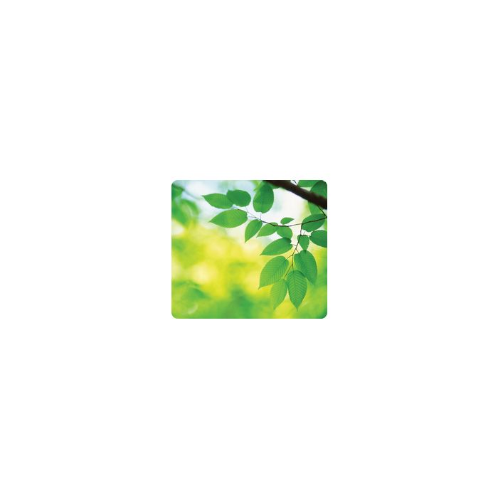 Fellowes tapis souris recyclé, motif:feuilles, rectangulaire
