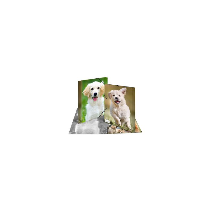 HERMA Chemise élastique "chiens", transparent, en PP, A4,