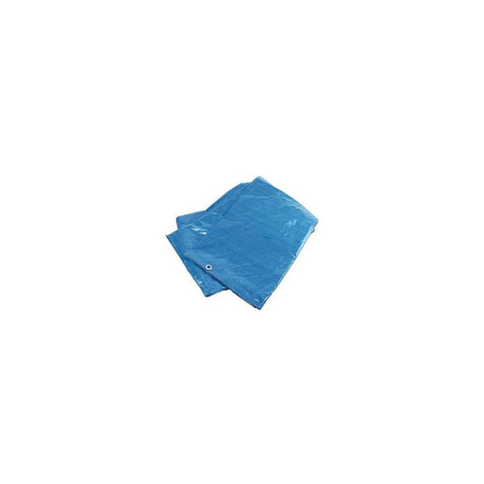 BRÜDER MANNESMANN Bâche de recouvrement, 3,5 x 4,8 m