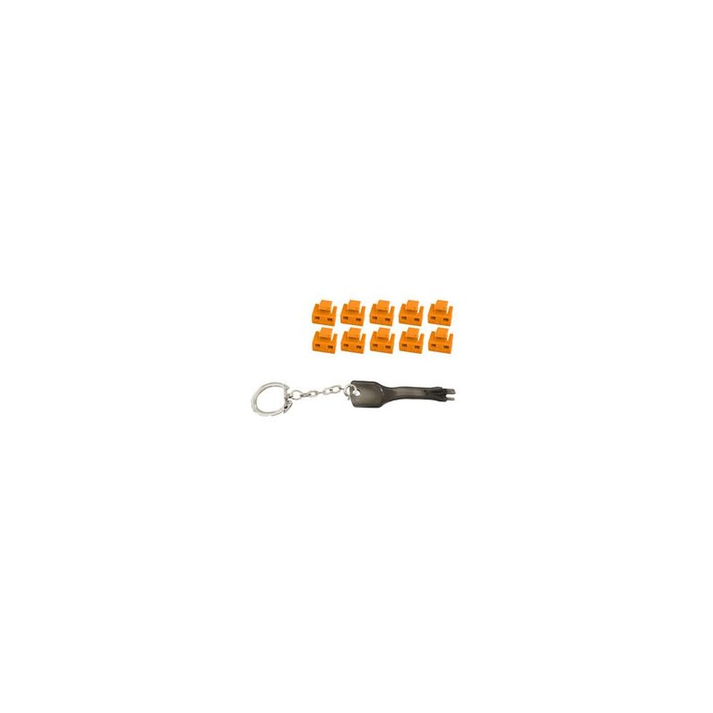 shiverpeaks Bloqueur de port RJ45 avec clé, orange