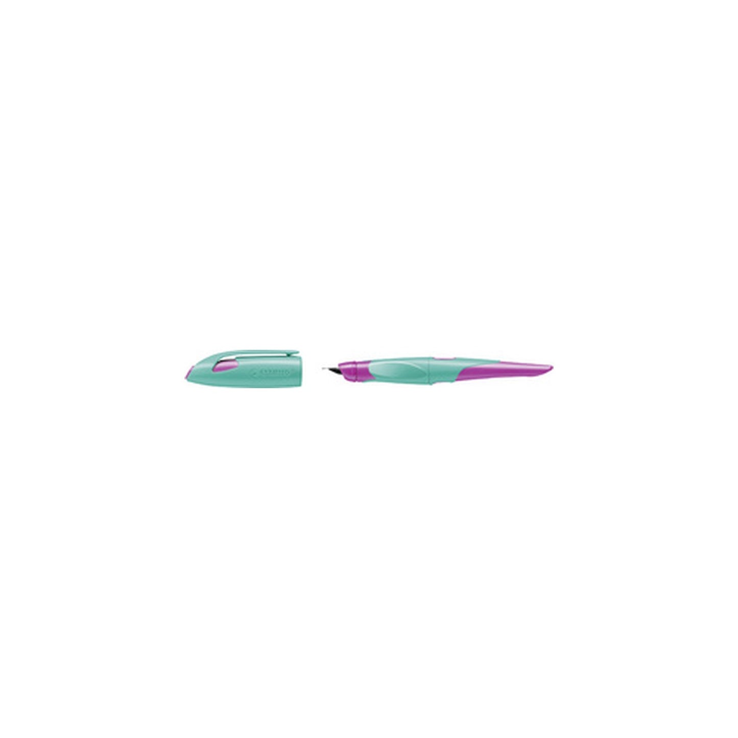 STABILO Stylo plume EASYbirdy R, droitiers, bleu/vert