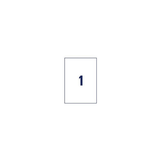 AVERY Zweckform Étiquette d'expédition, 210 x 297 mm, blanc