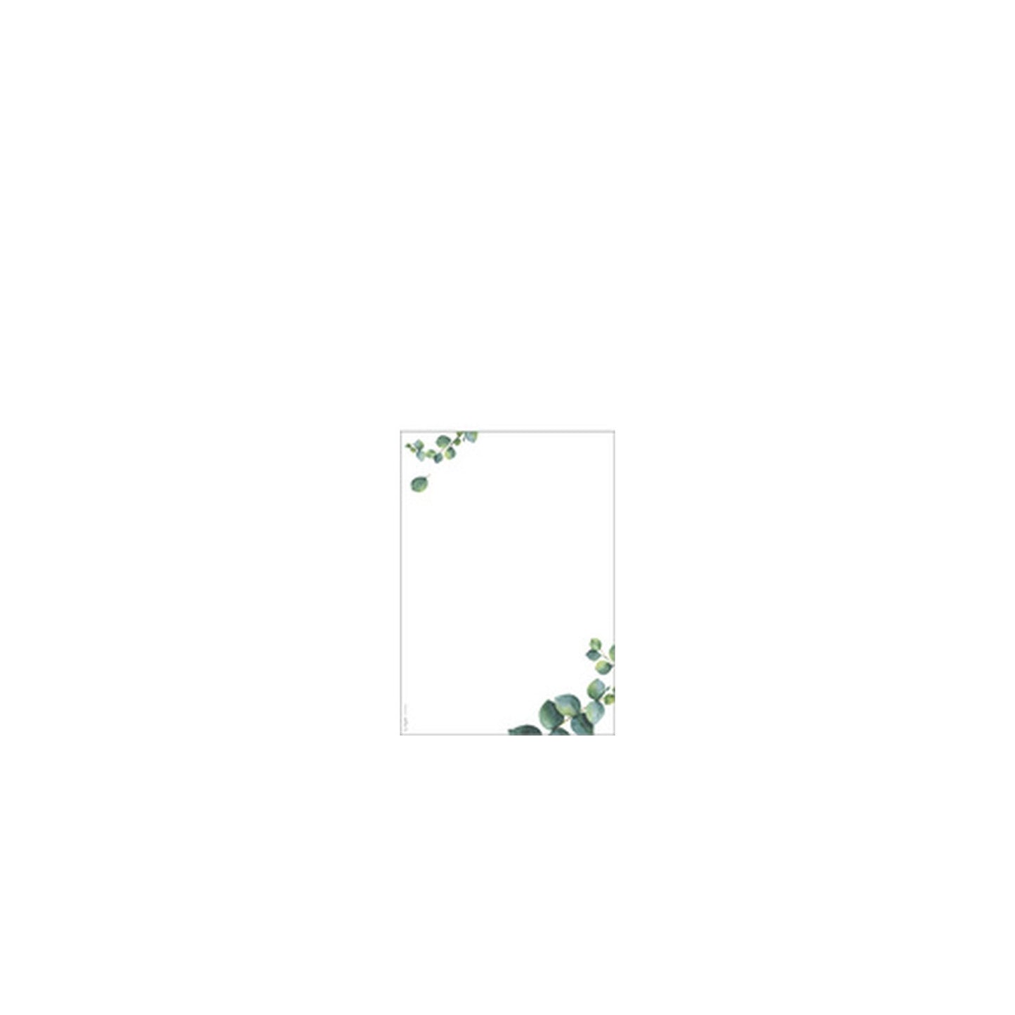 sigel Papier design "Eucalyptus", A5, 90 mm g/m2