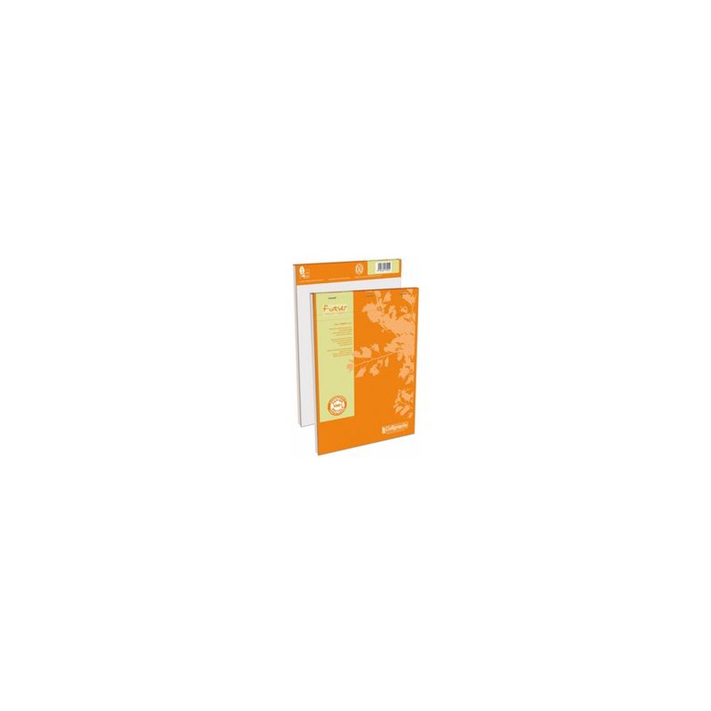 Calligraphe Bloc-notes Forever, A4, 200 pages, quadrillé 5/5 x5