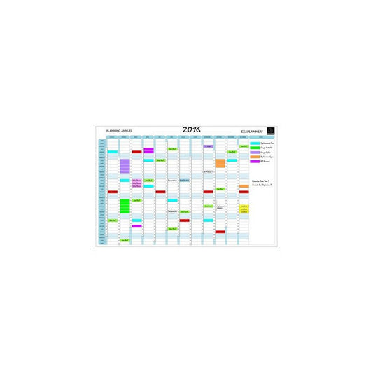 EXACOMPTA Planning annuel Exaplanner, (L)900 x (H)590 mm
