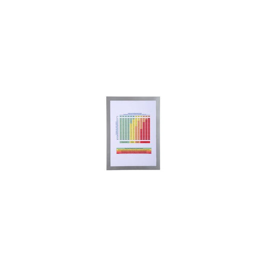 EXACOMPTA Cadre magnétique, A4, argent