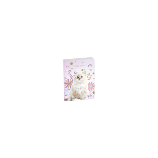 EXACOMPTA Agenda scolaire FORUM, 2026/2027, Chat blanc